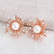 Picture of Zinc Alloy Rose Gold Plated Stud Earrings in Flattering Style