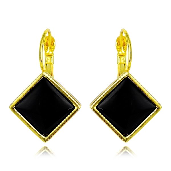 Picture of Fast Selling Black Enamel Hoop Earrings with No-Risk Return