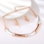Show details for New Medium Rose Gold Plated 2 Piece Jewelry Set