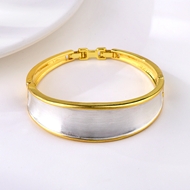 Picture of Dubai Zinc Alloy Fashion Bangle with Beautiful Craftmanship