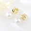 Show details for Zinc Alloy Medium Dangle Earrings From Reliable Factory