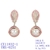 Picture of Luxury Gold Plated Dangle Earrings with 3~7 Day Delivery