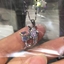 Show details for Brand New Colorful Platinum Plated Pendant Necklace with SGS/ISO Certification
