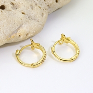 Picture of Delicate Small Huggie Earrings Online Only