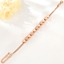 Show details for Purchase Rose Gold Plated Zinc Alloy Fashion Bangle Exclusive Online